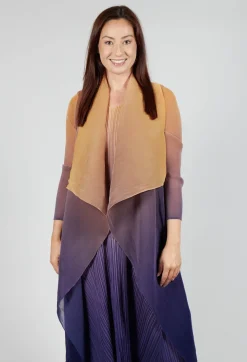 Alquema Coats^Collare Coat in Honey and Gold