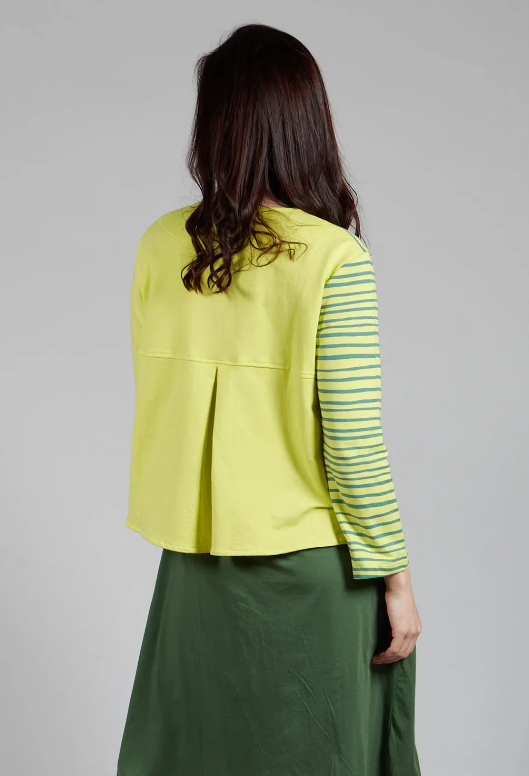 Bread and Butter Tops^Contrast Sleeve Top in Lime with Green Lines