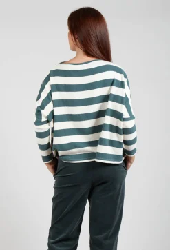 Operificio Neirami Jumpers^Contrast Stripe Jumper in Riga Agave