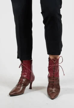 Maliparmi Heels|Boots^Lace Up Ankle Boot Heels in Marrone / Fuxia