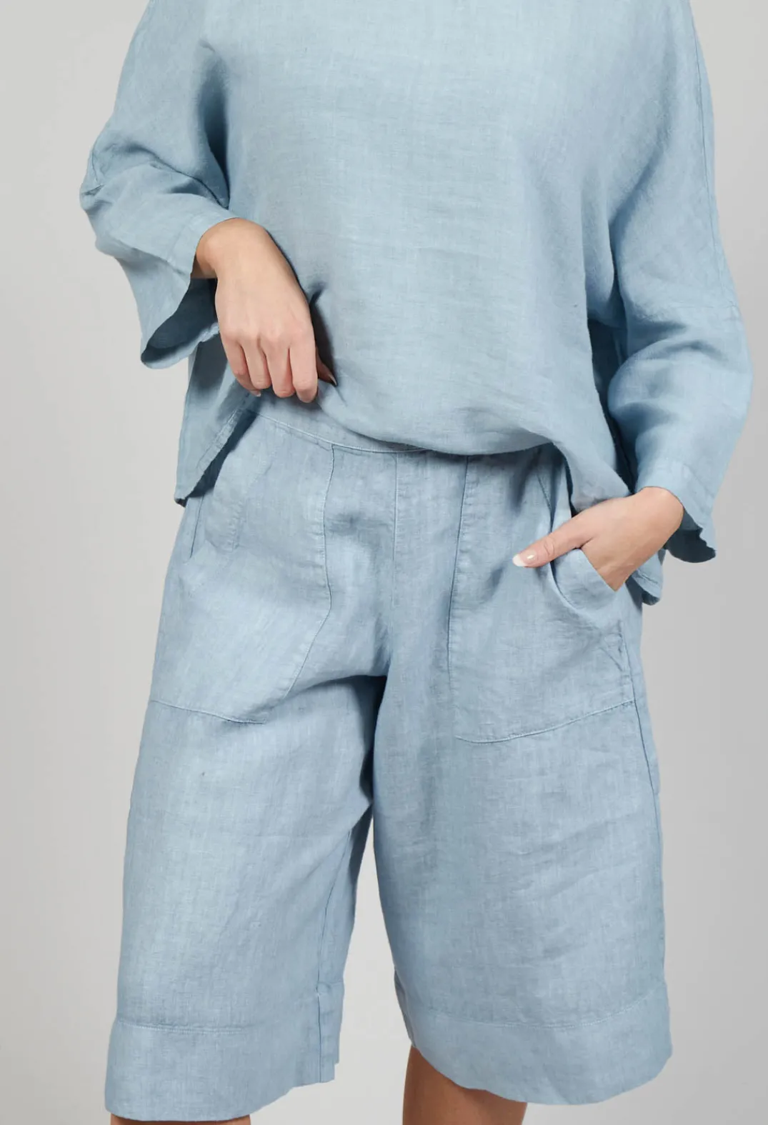 Elemente Clemente Shorts^Linen Tamal Shorts in Blue