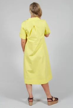 Beatrice B Dresses^Pleats & Lace Dress in Sunflower