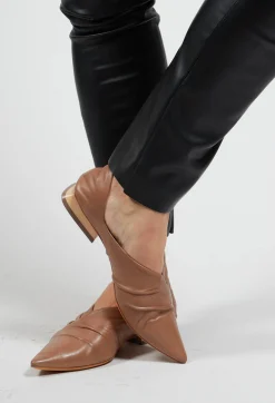 Malloni Flats^Pointed Pumps in Tortora