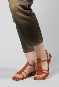Ixos Sandals^Ramones Sandal in Tan