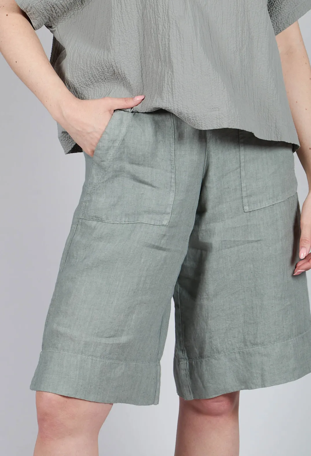 Elemente Clemente Shorts^Shorts Tamal in Eucalyptus