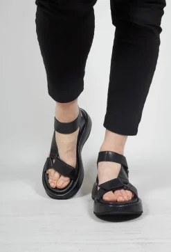 Malloni Sandals^Velcro Strap Sandals in Black